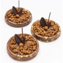 PLAQUE SILICONE 600X400 - 24 tartes rondes Ø 90xht15 - 58ml