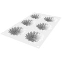 PLAQUE SILICONE 300X175 - 6 mini saint honoré Ø 76xht15.5 mm - 40ml