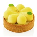 KIT PLAQUE SILICONE - 8 tartelettes blossom Ø 70xht20 mm - 47ml