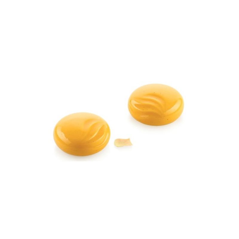 PLAQUE SILICONE 300X175 - 6 océans Ø 70xht30 mm - 100ml
