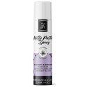 SPRAY COLORANT EFFET MAT 250 ml