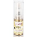 COLORANT SPRAY NACRE EN POUDRE 10 g