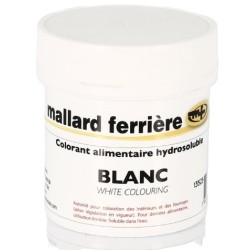 COLORANT POUDRE ALIMENTAIRE 20 g