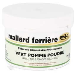 COLORANT POUDRE ALIMENTAIRE 100 g