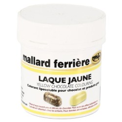 COLORANT CHOCOLAT ALIMENTAIRE 15 g