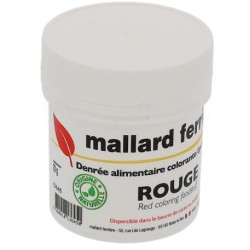 DENREE ALIMENTAIRE COLORANTE 100 g