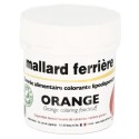 DENREE ALIMENTAIRE COLORANTE 20 g