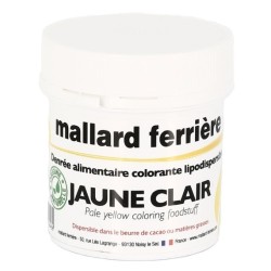 DENREE ALIMENTAIRE COLORANTE 20 g