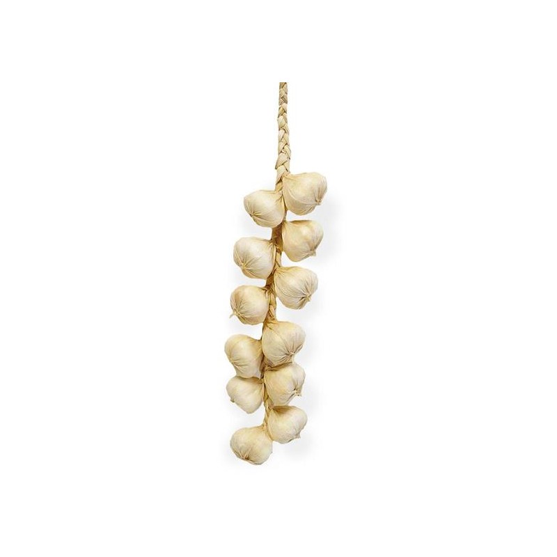 FACTICE TRESSE D'AIL