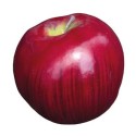 FACTICE POMME ROUGE Ø 80 mm