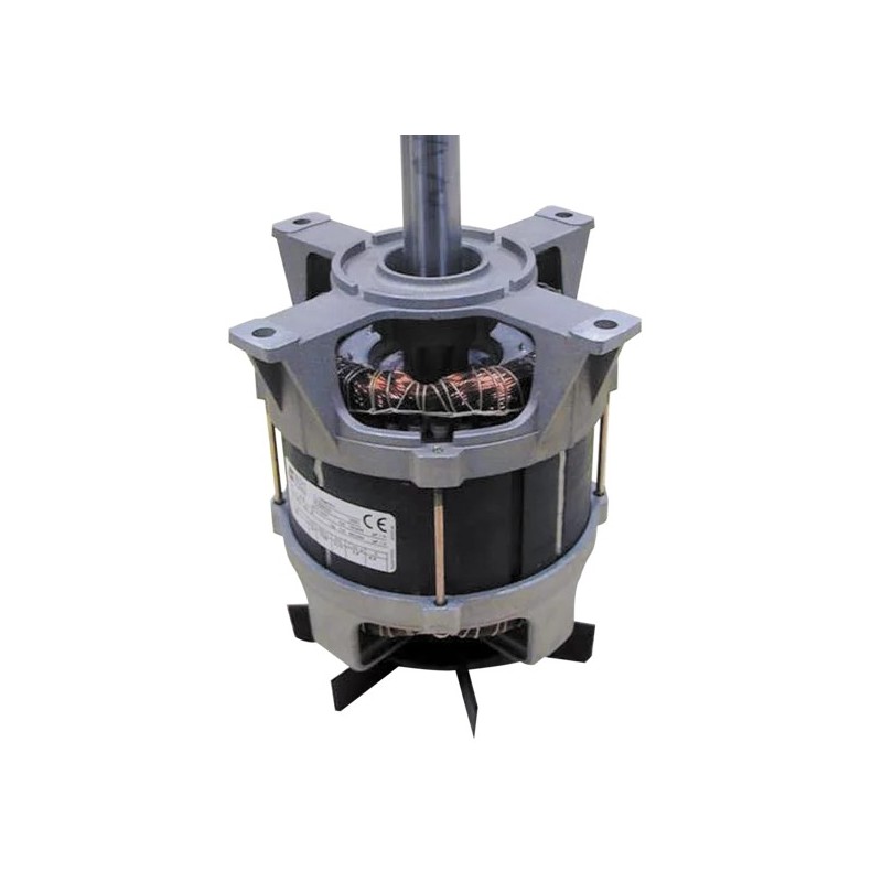 EXTRACTEUR DE JUS J 100 - HT 251 MM - monophasé
