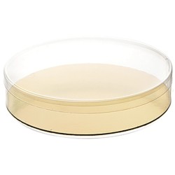 BOITE RONDE FOND OR - DIAM 140xht30 mm (Lot de 25)