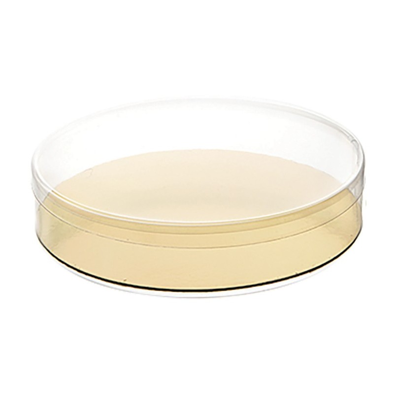BOITE RONDE FOND OR - DIAM 140xht30 mm (Lot de 25)