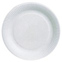 ASSIETTE CARTON BLANC BIODEGRADABLE