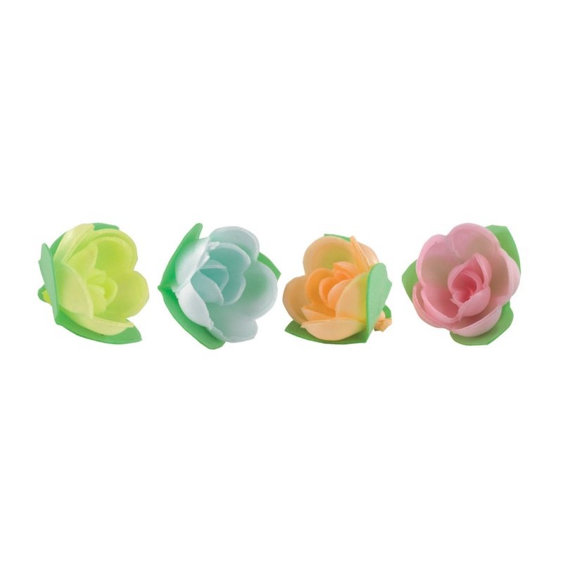 ROSE AZYME MINI COROLLES PASTEL - Ø 50 mm (x80)