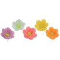 FLEUR NIMPHEA ASSORTIE AZYME -  Ø 60 mm (x35)