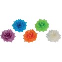 FLEUR CANDY ASSORTIE AZYME -  Ø 55 mm (x35)