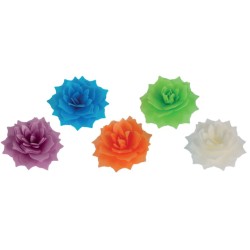 FLEUR CANDY ASSORTIE AZYME -  Ø 55 mm (x35)