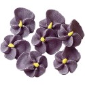 DECOR SUCRE - VIOLETTES - Ø 25 mm (x200)