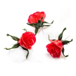 ROSE A PIQUER (PAQUET DE 25)