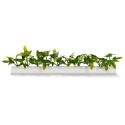BARRETTE LIERRE