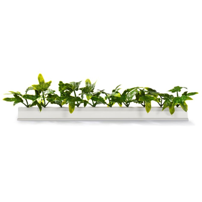 BARRETTE LIERRE