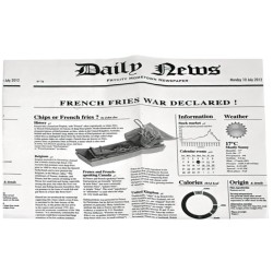 PAPIER ALIMENTAIRE "JOURNAL" - Dim 350x270 mm (Lot de 500)