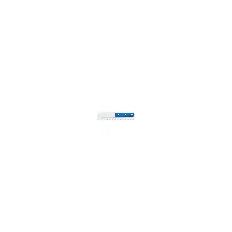 COUTEAU A COQUILLE ST JACQUES - 110 - manche ABS (voir 100185)
