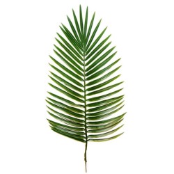 FACTICE FEUILLE DE PALMIER PHOENIX ht 630x270 mm - à l'unité