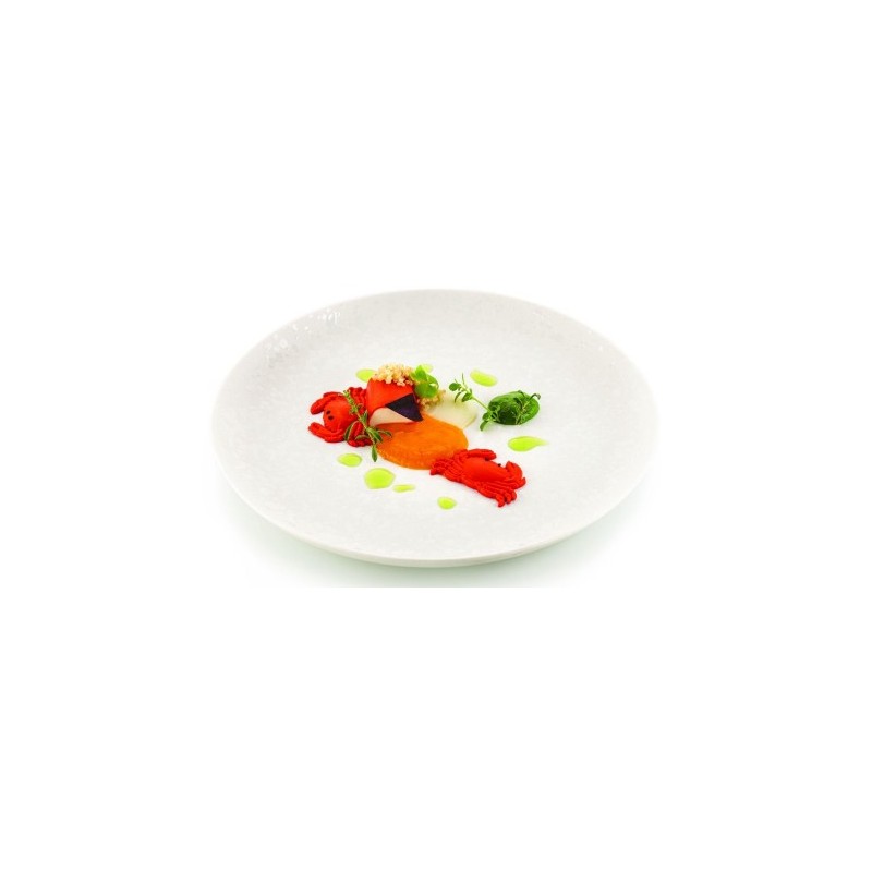 PLAQUE SILICONE 300X175 - 12 crabes 61x41xht7 mm - 6ml