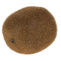 FACTICE KIWI Ø 50 x ht 70 mm