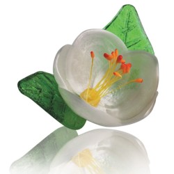 DECOR SUCRE TIRE