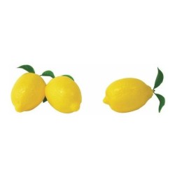FACTICE CITRON INDIVIDUEL AVEC FEUILLE (paquet de 12)