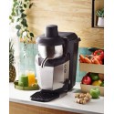 EXTRACTEUR "SANTOS JUICER" - SOCLE PEINT - 530x290x515 mm - 140L/h