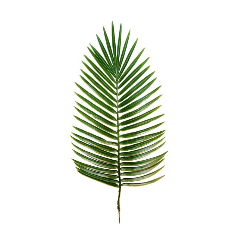 FACTICE FEUILLE DE PALMIER PHOENIX ht 630x270 mm - à l'unité