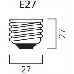 AMPOULE LED 5W