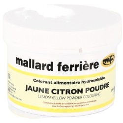 COLORANT POUDRE ALIMENTAIRE 100 g