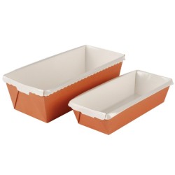 MOULE CARTON CAKE