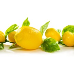 GUIRLANDE DE CITRONS - Lg 1.80 mètres