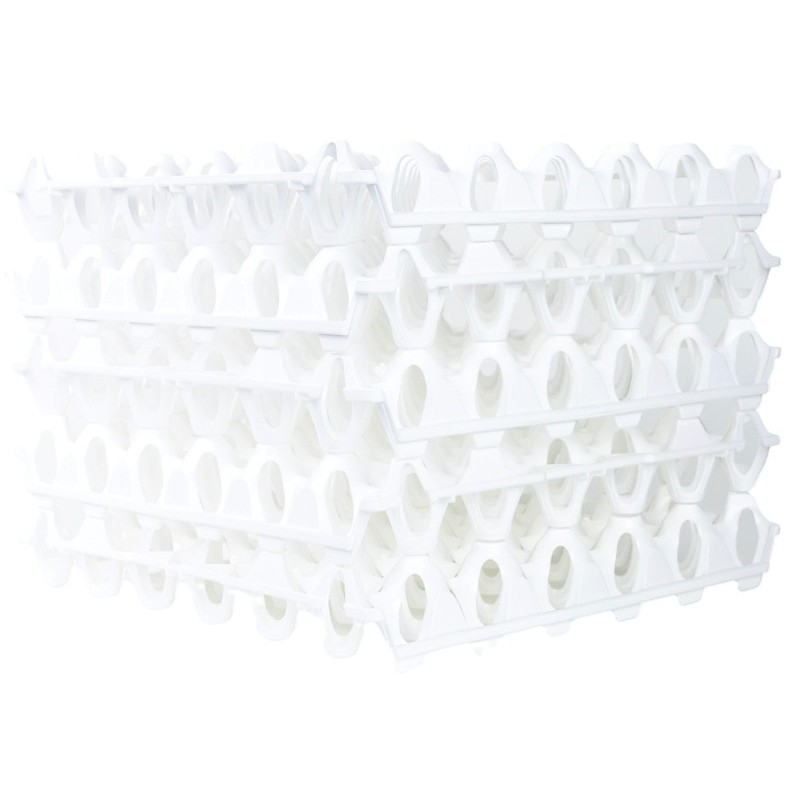 ALVEOLES A ŒUFS EN PLASTIQUE 300X300X50 MM - BLANC (Lot de 6)