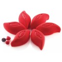PLAQUE SILICONE 300X175 - 6 ruben 114x57xht45 mm - 120ml
