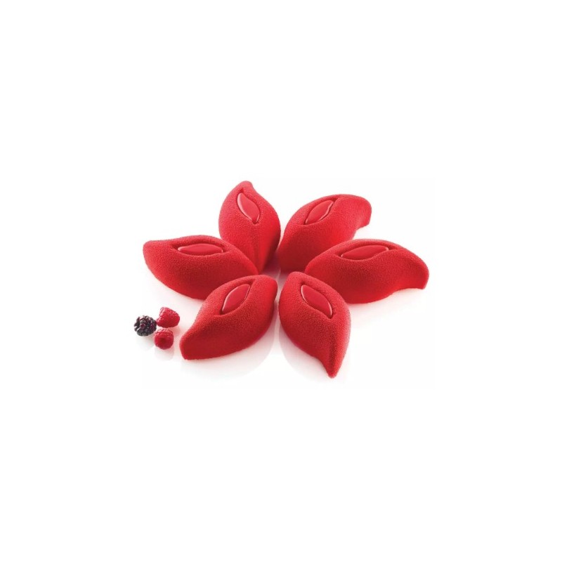 PLAQUE SILICONE 300X175 - 6 ruben 114x57xht45 mm - 120ml
