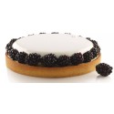 KIT MOULE SILICONE TARTES RONDES