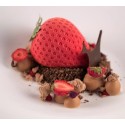 PLAQUE SILICONE 300X175 - 15 mini fraises 48x34xht33 mm - 30ml