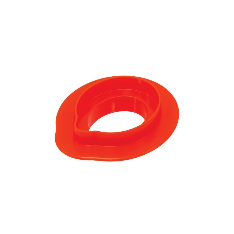 PLAQUE SILICONE 300X175 - 15 mini citrons 58x38xht27 mm - 30ml