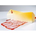 PLAQUE SILICONE 600X400 - 20 bandes vrillées 120x32xht38 mm - 115ml
