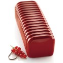 MOULE SILICONE - 1 bandonéon 256x95xht87 mm - 1.8L