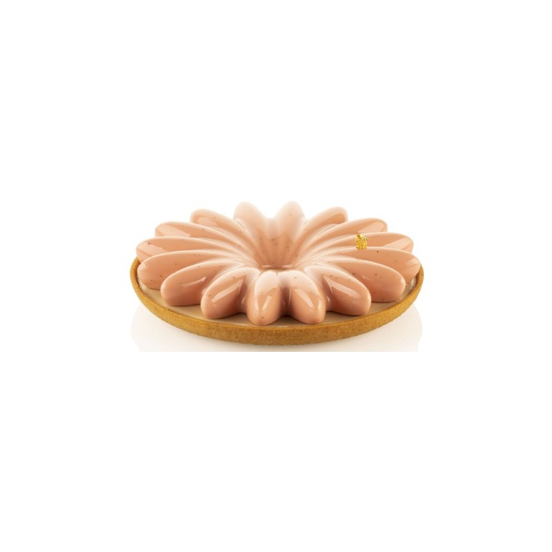 KIT MOULE SILICONE - 1 tarte bloom Ø 180xht20 mm