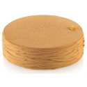 BANDE DECOR OSIER - 554x50xht4.7 mm