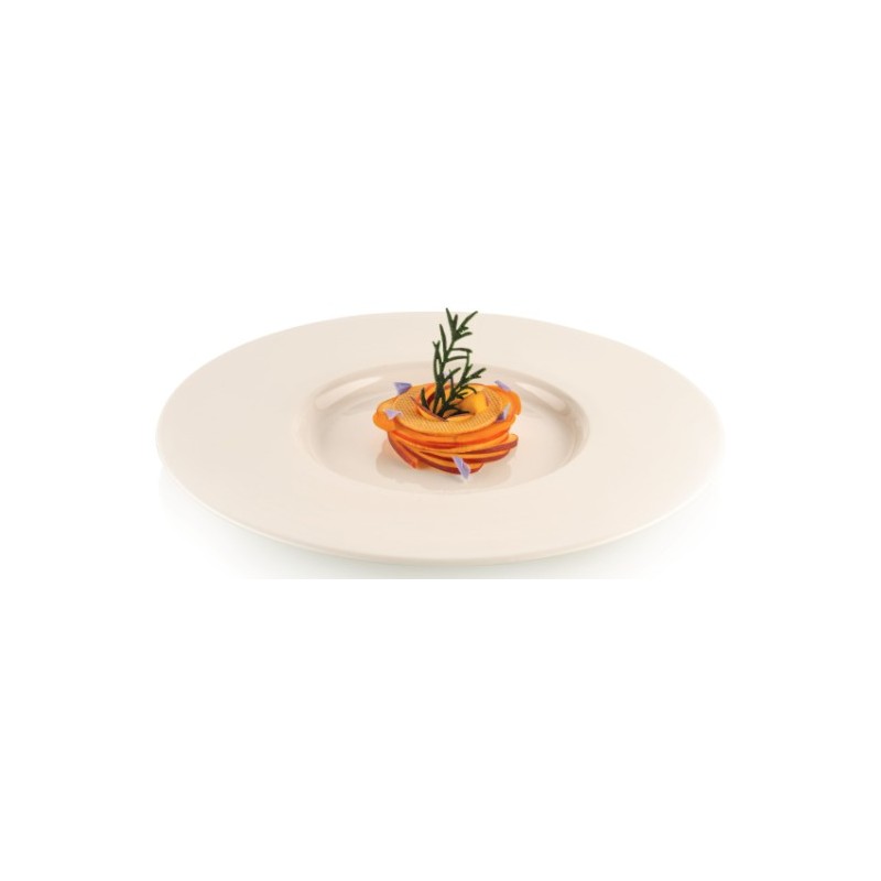 PLAQUE SILICONE 470X270 - 28 romarins (12 93x43 + 16 75x38 mm)